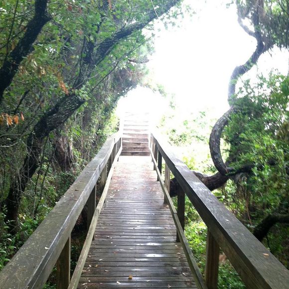 Meet your Posher, Kb - Picture 1 of 1